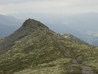 N, Oppland, Sel, Anaripiggen 6, Saxifraga-Willem van Kruijsbergen