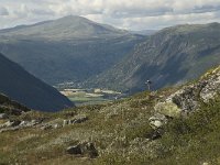 N, Oppland, Sel, Gudbrandsdalen 1, Saxifraga-Willem van Kruijsbergen