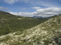 N, Oppland, Sel, Kluftaathaugen 5, Saxifraga-Willem van Kruijsbergen