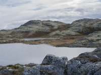 N, Oppland, Sel, Klufttjonne 16, Saxifraga-Willem van Kruijsbergen