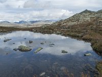 N, Oppland, Sel, Klufttjonne 35, Saxifraga-Annemiek Bouwman