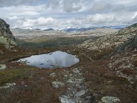 N, Oppland, Sel, Klufttjonne 37, Saxifraga-Annemiek Bouwman