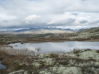 N, Oppland, Sel, Klufttjonne 48, Saxifraga-Annemiek Bouwman