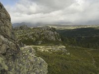 N, Oppland, Sel, Mysuseter 5, Saxifraga-Willem van Kruijsbergen