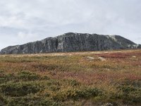 N, Oppland, Sel, Peer Gynt Hytta 100, Saxifraga-Willem van Kruijsbergen