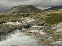 N, Oppland, Sel, Peer Gynt Hytta 35, Saxifraga-Willem van Kruijsbergen