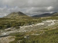 N, Oppland, Sel, Peer Gynt Hytta 41, Saxifraga-Willem van Kruijsbergen