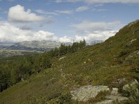 N, Oppland, Sel, Rondane 1, Saxifraga-Willem van Kruijsbergen