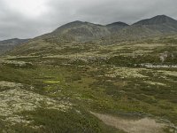 N, Oppland, Sel, Smiubelgin 1, Saxifraga-Willem van Kruijsbergen