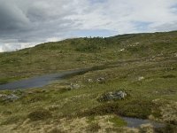 N, Sogn og Fjordane, Sogndal, Rysete 7, Saxifraga-Willem van Kruijsbergen