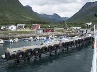 N, Troms, Kafjord, Olderdalen 2, Saxifraga-Willem van Kruijsbergen
