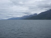 N, Troms, Kafjord, Olderdalen 9, Saxifraga-Willem van Kruijsbergen