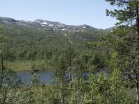 N, Troms, Senja, Anderdalen Nat Park 48, Saxifraga-Willem van Kruijsbergen