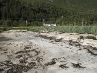 N, Troms, Senja, Katteberget 3, Saxifraga-Willem van Kruijsbergen