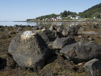 N, Troms, Senja, Skaland 10, Saxifraga-Willem van Kruijsbergen