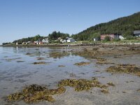 N, Troms, Senja, Skaland 11, Saxifraga-Willem van Kruijsbergen