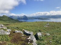 N, Troms, Senja, Skaland, Sommardalen 21, Saxifraga-Willem van Kruijsbergen