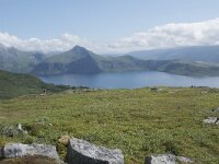 N, Troms, Senja, Skaland, Sommardalhaugen 3, Saxifraga-Willem van Kruijsbergen