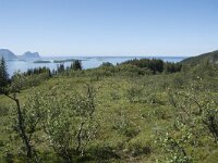 N, Troms, Senja, Skaland, old mines 6, Saxifraga-Willem van Kruijsbergen