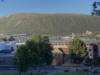 N, Troms, Tromso 12, Saxifraga-Willem van Kruijsbergen