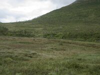N, Troms, Tromso, Kattfjorddalen 1, Saxifraga-Willem van Kruijsbergen