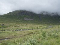 N, Troms, Tromso, Kattfjorddalen 2, Saxifraga-Willem van Kruijsbergen