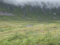 N, Troms, Tromso, Kattfjorddalen 3, Saxifraga-Willem van Kruijsbergen