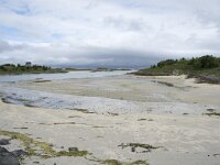 N, Troms, Tromso, Sommaroy 10, Saxifraga-Willem van Kruijsbergen