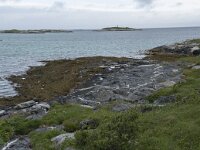 N, Troms, Tromso, Sommaroy 16, Saxifraga-Willem van Kruijsbergen