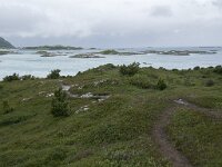 N, Troms, Tromso, Sommaroy 27, Saxifraga-Willem van Kruijsbergen