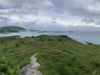 N, Troms, Tromso, Sommaroy 33, Saxifraga-Willem van Kruijsbergen