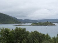 N, Troms, Tromso, Sommaroy 4, Saxifraga-Willem van Kruijsbergen