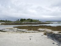 N, Troms, Tromso, Sommaroy 7, Saxifraga-Willem van Kruijsbergen