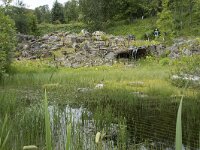N, Troms, Tromso, botanical garden 3, Saxifraga-Willem van Kruijsbergen