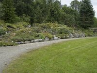 N, Troms, Tromso, botanical garden 4, Saxifraga-Willem van Kruijsbergen