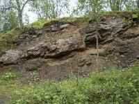 N, Troms, Tromso, botanical garden 7, Saxifraga-Willem van Kruijsbergen