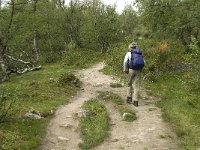 N, Trondelag, Oppdal, Reinheim 1, Saxifraga-Jan van der Straaten