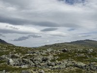 N, Trondelag, Oppdal, Reinheim 12, Saxifraga-Jan van der Straaten