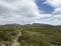 N, Trondelag, Oppdal, Reinheim 13, Saxifraga-Jan van der Straaten