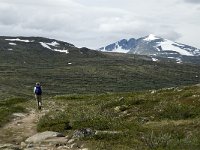 N, Trondelag, Oppdal, Reinheim 14, Saxifraga-Jan van der Straaten