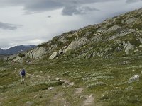 N, Trondelag, Oppdal, Reinheim 16, Saxifraga-Jan van der Straaten