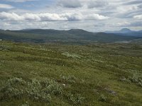 N, Trondelag, Oppdal, Reinheim 17, Saxifraga-Jan van der Straaten