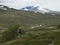 N, Trondelag, Oppdal, Reinheim 18, Saxifraga-Jan van der Straaten