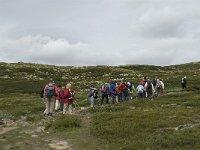 N, Trondelag, Oppdal, Reinheim 2, Saxifraga-Jan van der Straaten