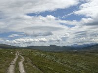 N, Trondelag, Oppdal, Reinheim 20, Saxifraga-Jan van der Straaten