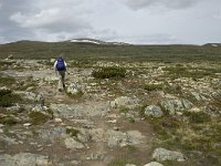 N, Trondelag, Oppdal, Reinheim 4, Saxifraga-Jan van der Straaten