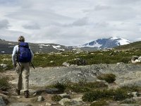 N, Trondelag, Oppdal, Reinheim 5, Saxifraga-Jan van der Straaten