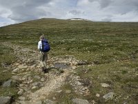 N, Trondelag, Oppdal, Reinheim 7, Saxifraga-Jan van der Straaten