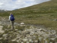 N, Trondelag, Oppdal, Reinheim 8, Saxifraga-Jan van der Straaten