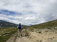 N, Trondelag, Oppdal, Reinheim 9, Saxifraga-Jan van der Straaten